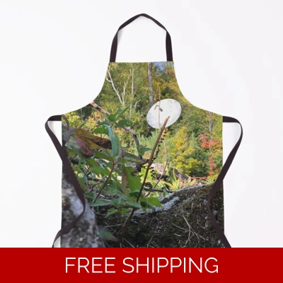 Le Studio Apron Satellite Dish 2019